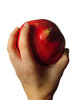 Pomegranate 4