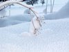Snow 1
