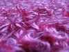 Pink texture