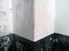 Grunge wall texture with spide