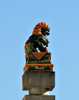 lion luck