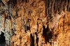 Nerja Caves