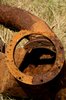 Rusty pipe