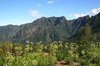 Mountains with Agapanthus
