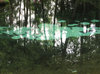 Blue springs