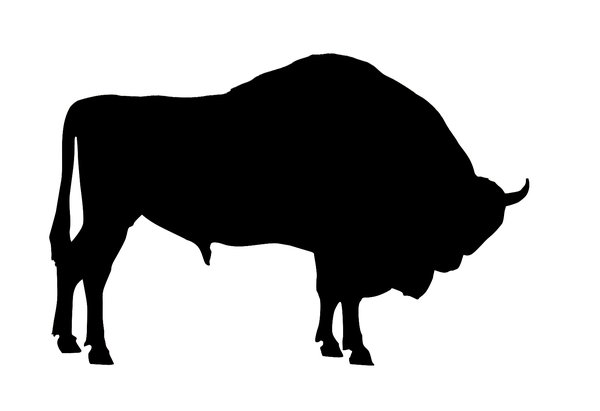 cow buffalo clipart - photo #22