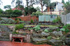 suburban backyard