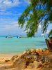 Grand Cayman Rum Point