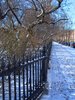 Iron Fence