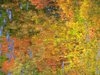 Autumn Reflections