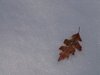 Winters grip background