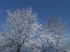 Winter Magic