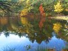 Berry Pond