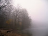 foggy autumn beach