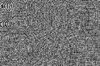 Grayscale Canvas Texture