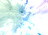 abstract flower