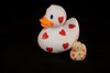 Little Duck