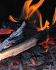 in the fire