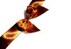 elegant bow 2