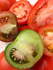 tomatoes - inside story