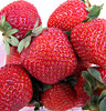 strawberry red