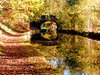 Shropshire union in Autumn