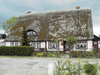 thatched roof cottage
