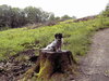 this is my tree