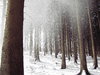 snow flurries