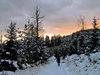winter sundown