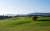 green hills
