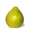 the biggest citrus