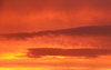 fire in the sky