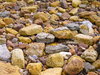 Texture - Stony Beach