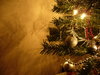 Graham's Christmas Tree 2