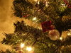 Graham's Christmas Tree 4