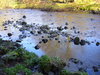 Northumberland River
