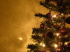 Graham's Christmas Tree 10