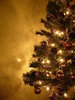 Graham's Christmas Tree 6