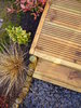 Garden Texture 2