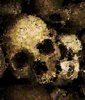 Skull 2