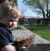 Baseball Kid