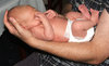 newborn