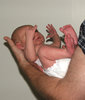 newborn