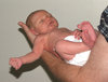 newborn
