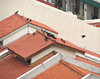 rows of rooftops