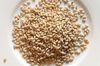 Barley Seeds