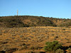 dry brown land