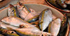 at the fish market