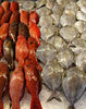 at the fish market